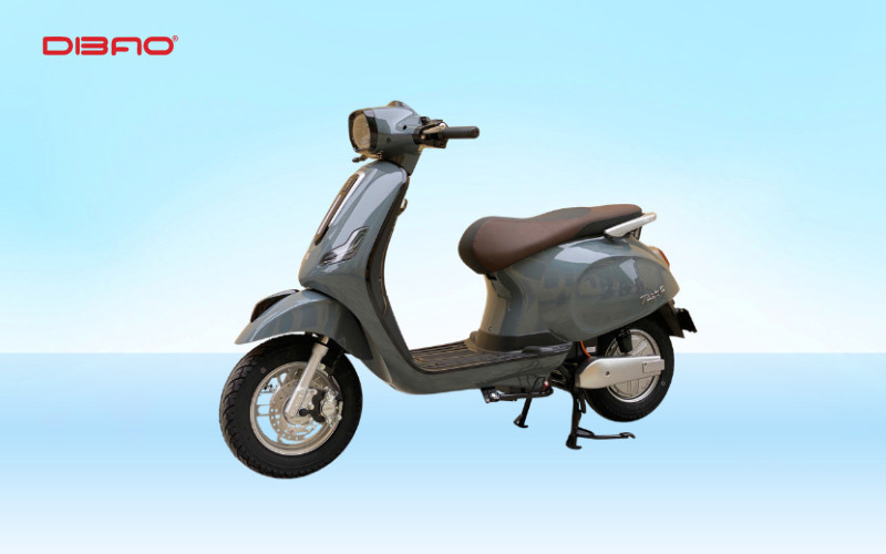 Xe điện màu ghi Dibao Tesla E